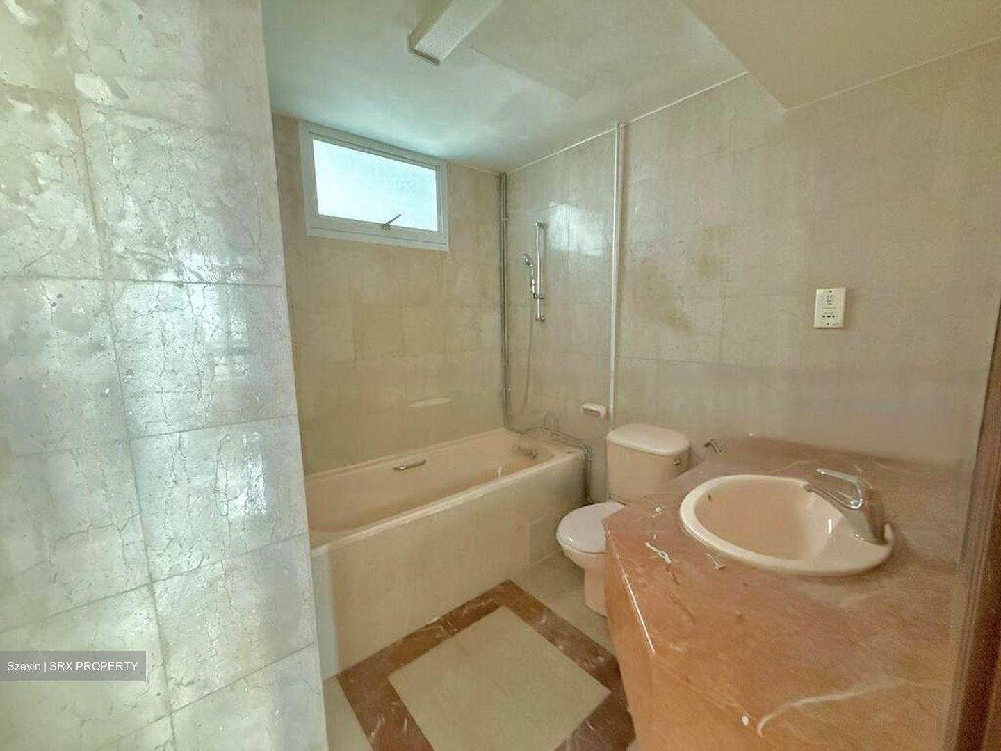 Parkshore (D15), Condominium #454511181